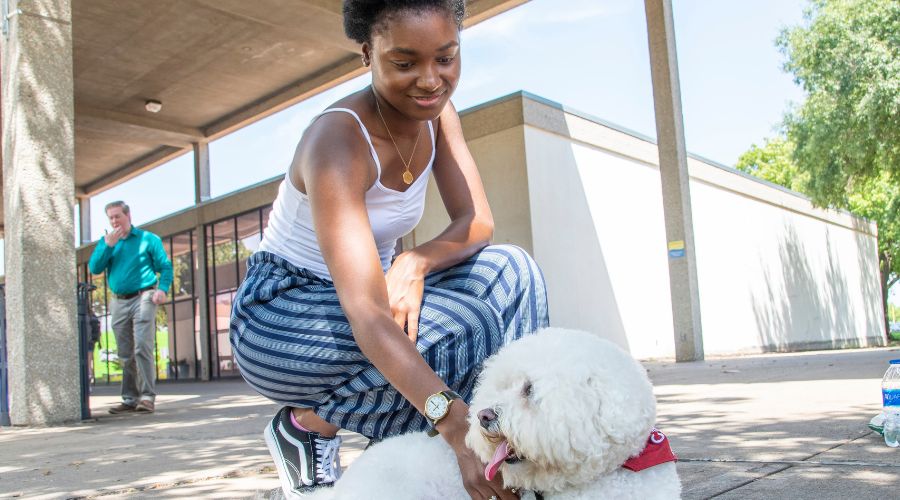 A student pets a dog on the RSC campus mall.