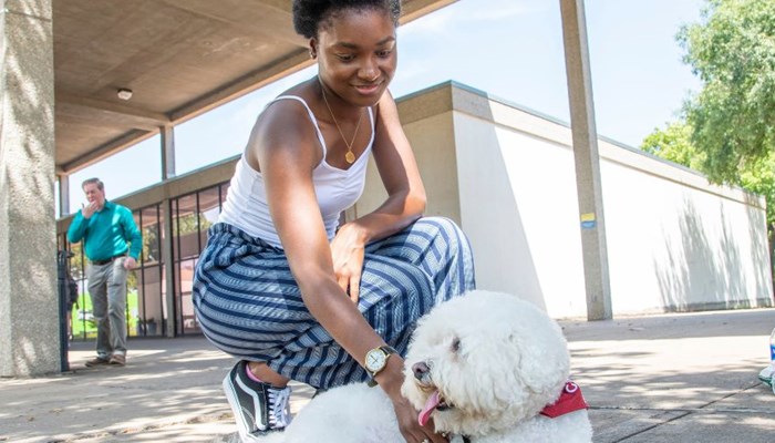 A student pets a dog on the RSC campus mall.