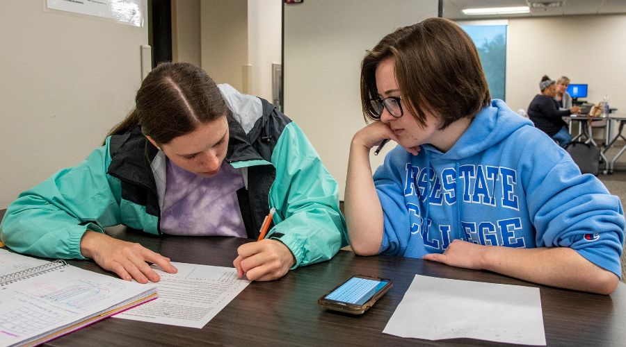 Two students preparing and studying for a test