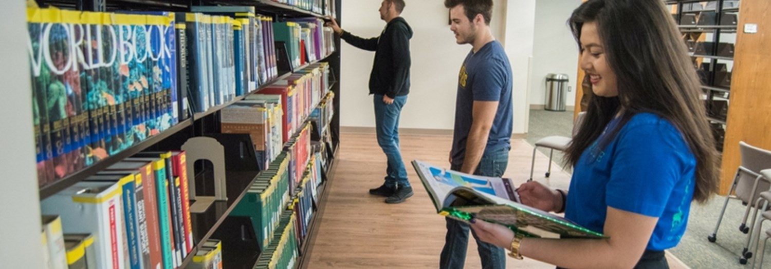 Students in the Library